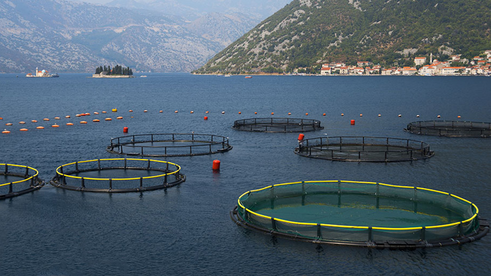 漁業